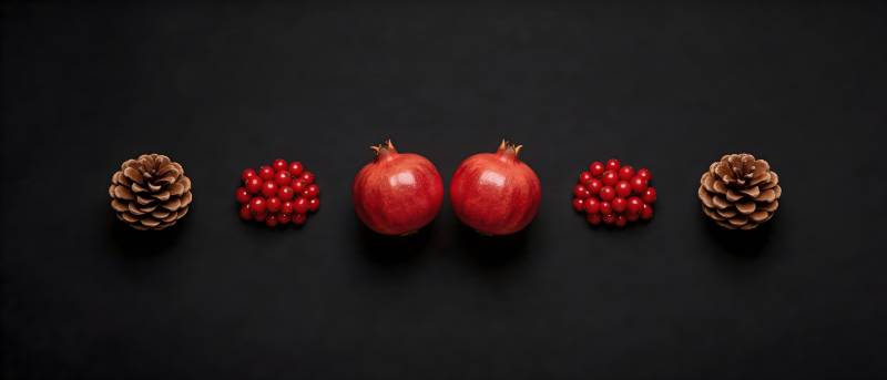 松果石榴红果黑底对称排图片