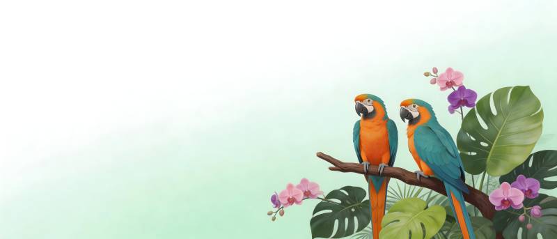 鹦鹉栖枝 花叶相伴图片