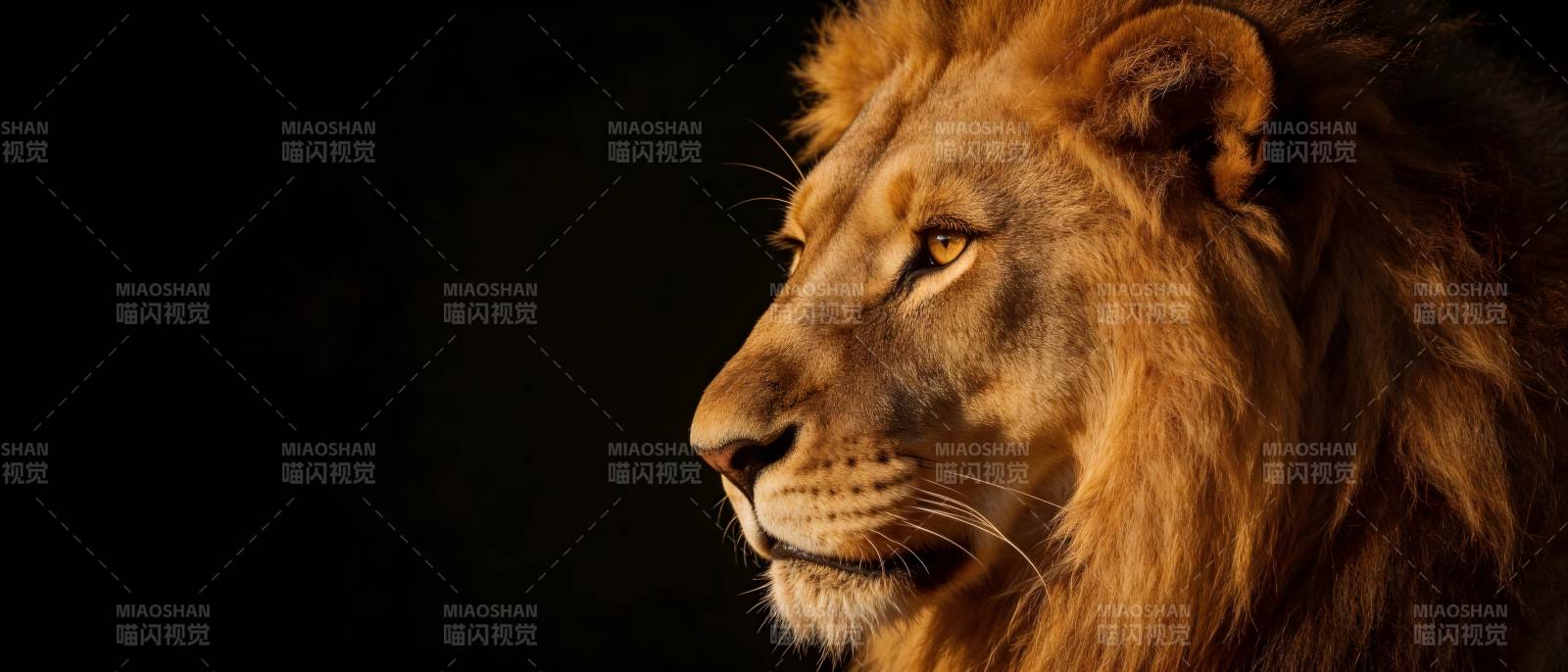 雄狮侧影 王者之光图片