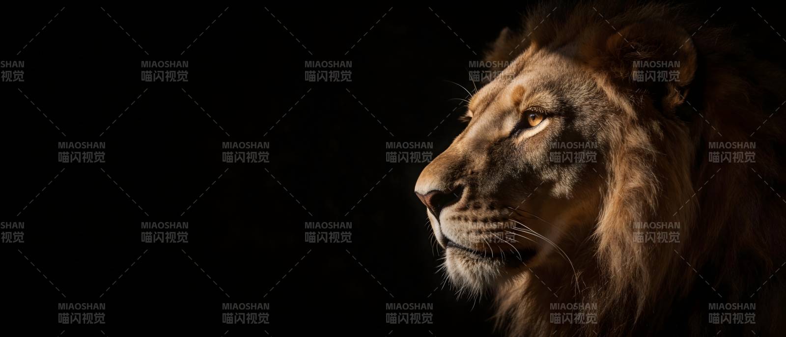 雄狮侧影 暗夜王者图片