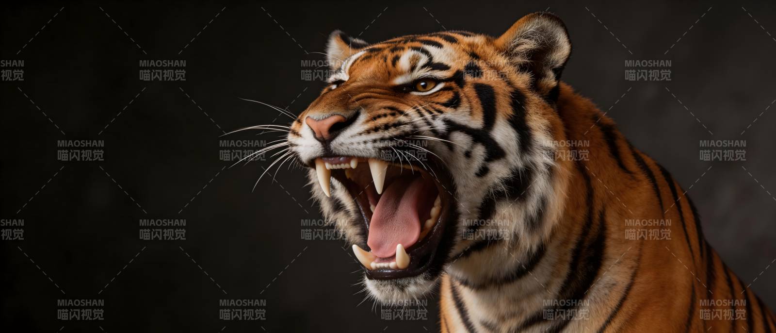 猛虎怒吼 威震四方图片