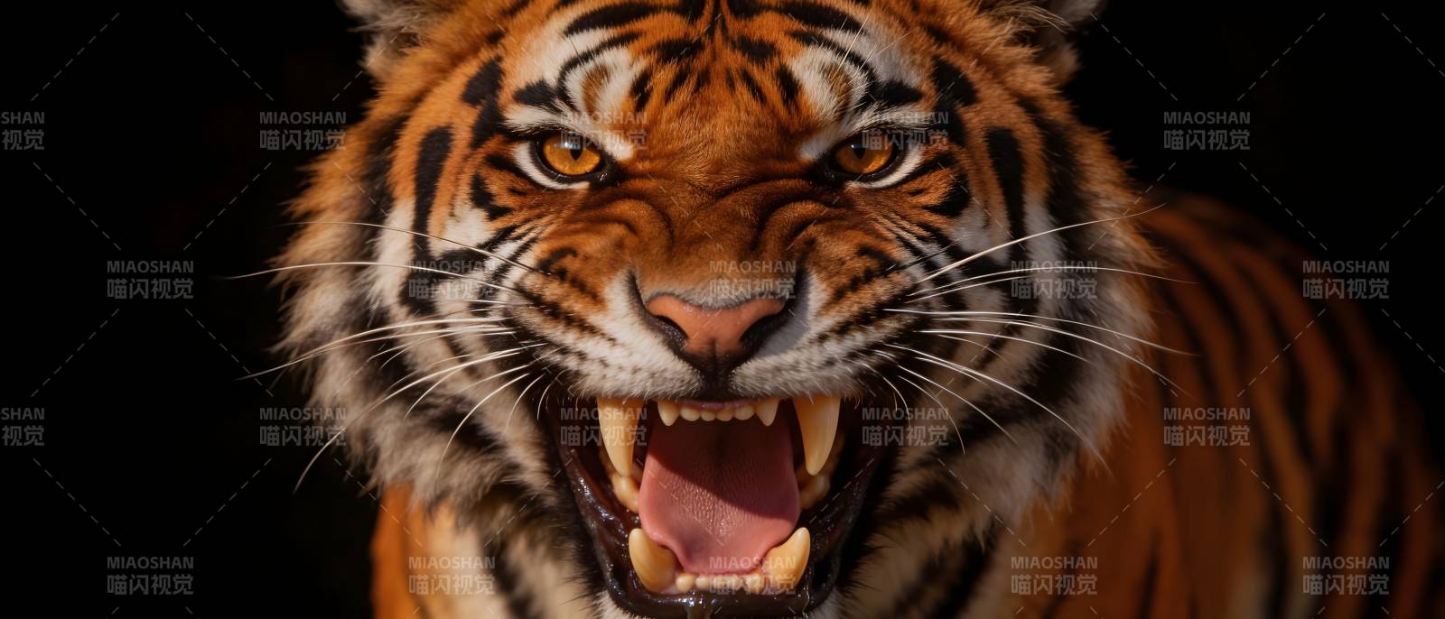猛虎怒吼 威慑四方图片
