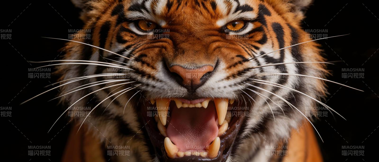 猛虎怒吼 威震四方图片