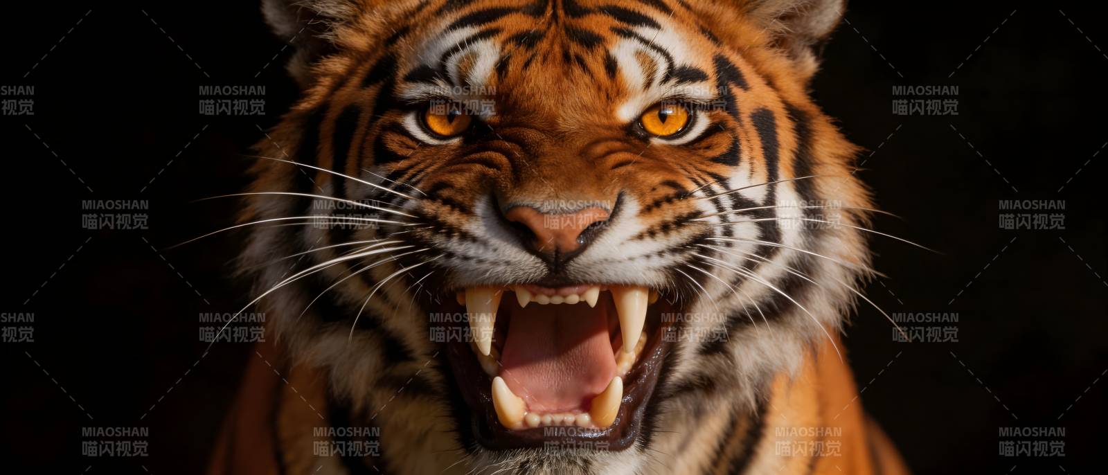 猛虎怒吼 威震四方图片