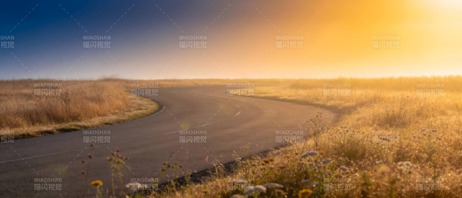 夕阳曲路 金草漫野图片