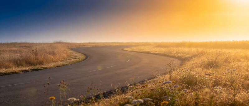 夕阳曲路 金草漫野图片