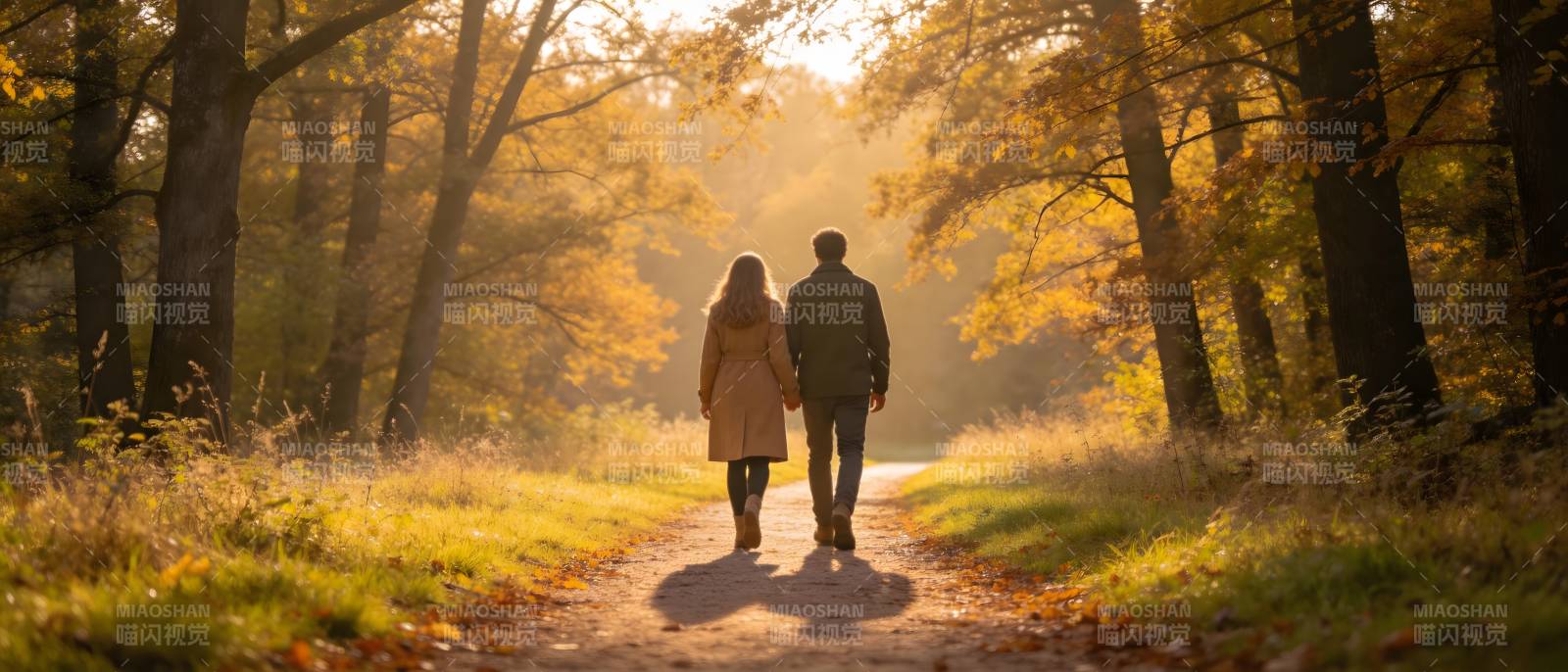 秋日林间 携手漫步暖阳下图片