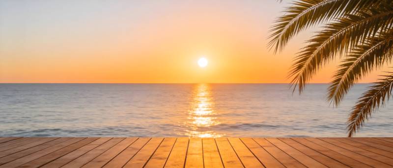 夕阳海畔 椰影木台静美图片