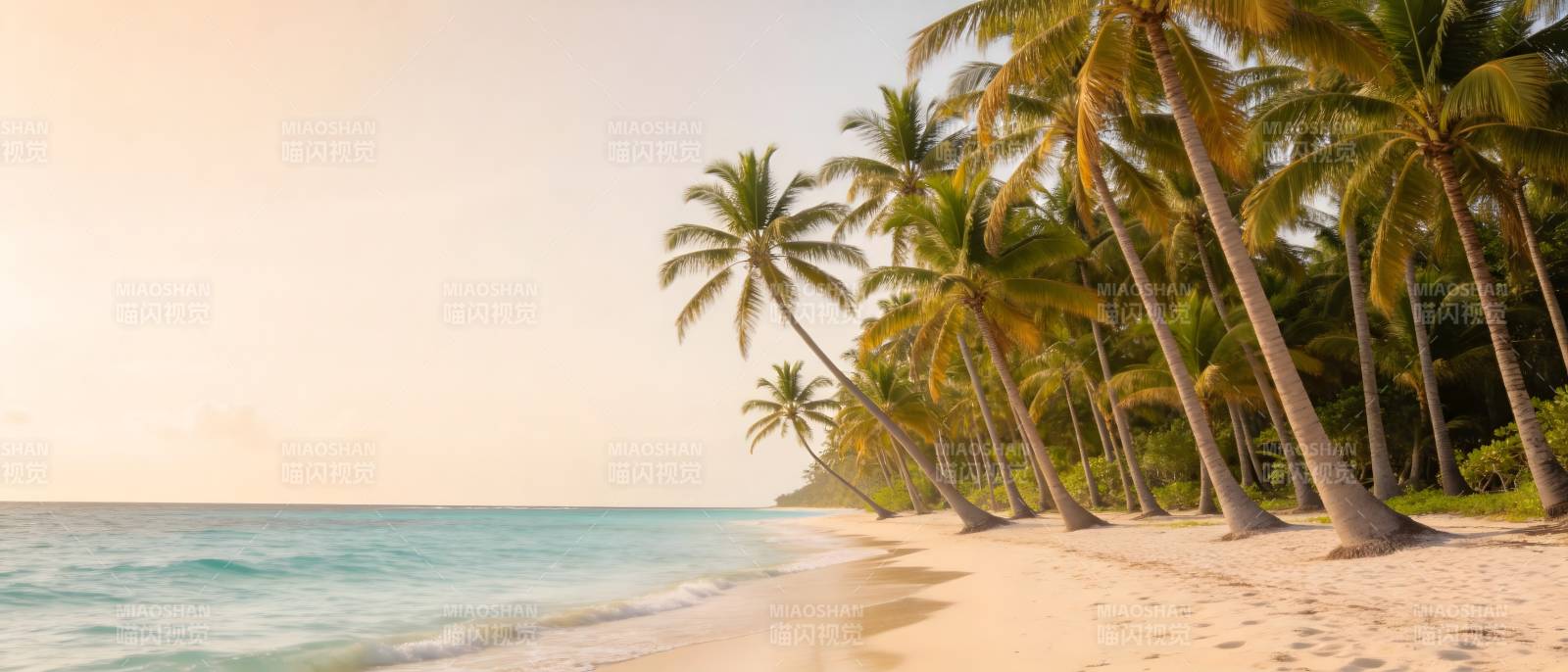 椰林海滩 夕阳温柔图片