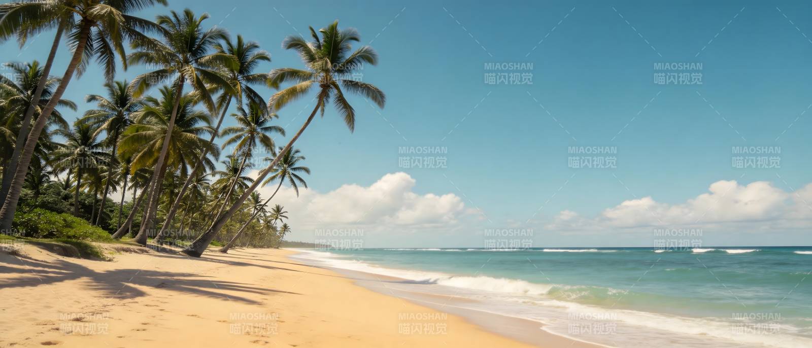 椰林沙滩 碧海蓝天图片