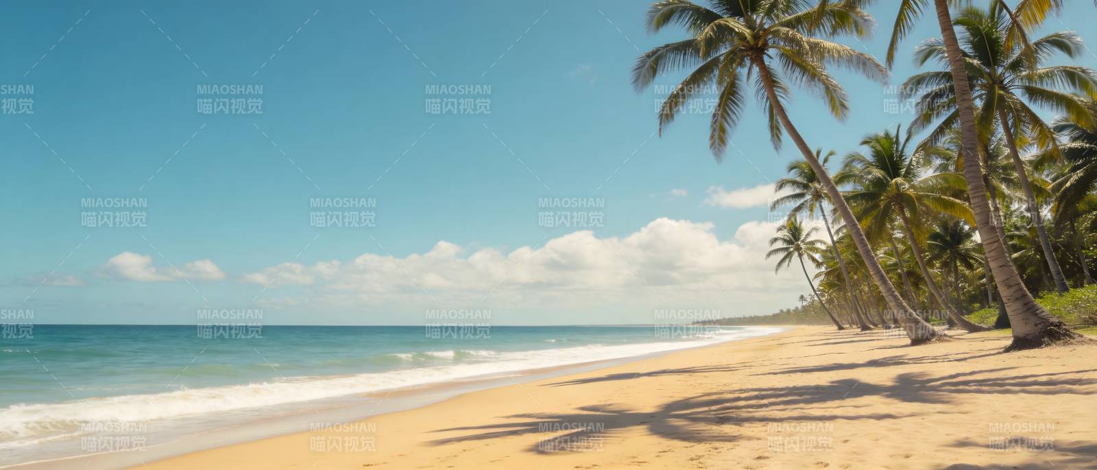 椰影沙滩 碧海蓝天图片