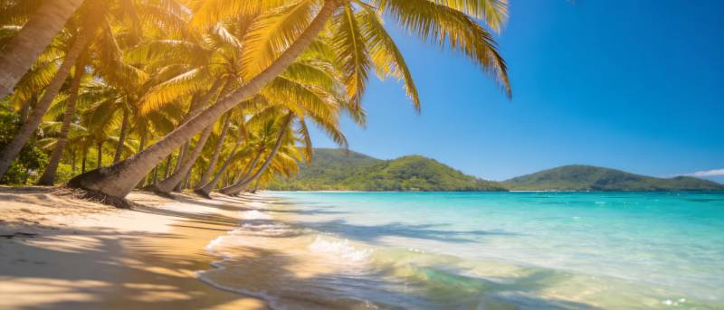 椰林碧海 热带天堂图片