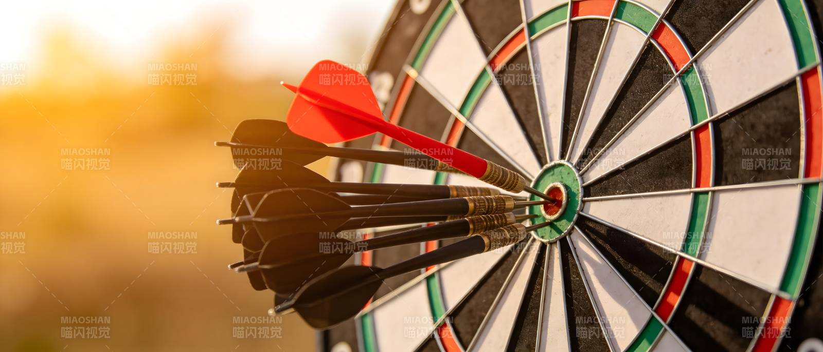 箭中靶心 精准命中目标图片