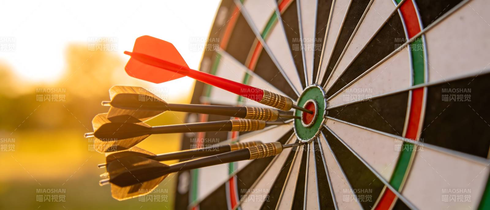 箭中靶心 精准命中目标图片