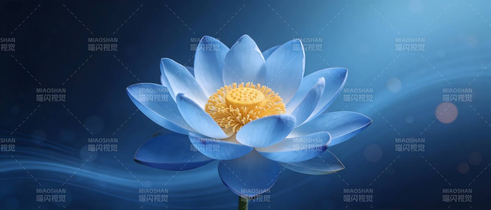 蓝莲静绽 心湖澄明图片