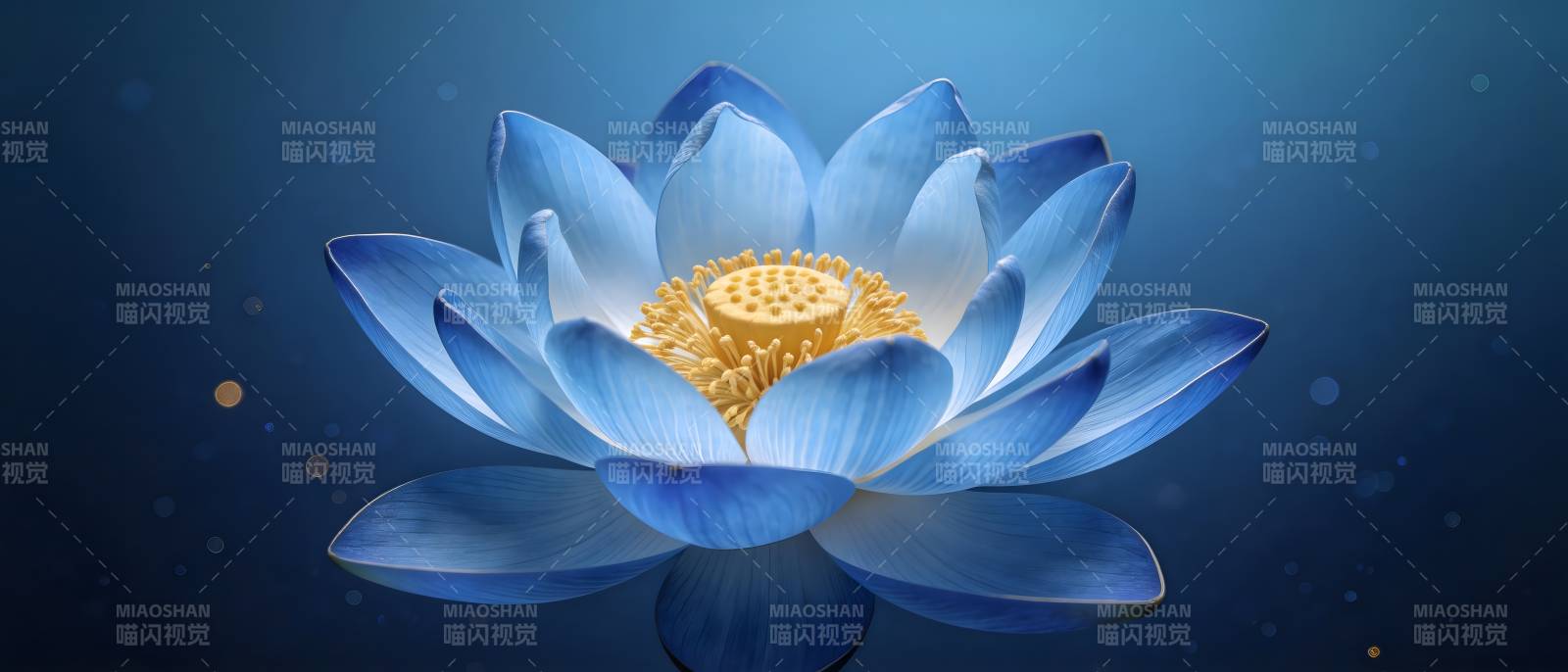 蓝莲绽放 静谧如梦图片