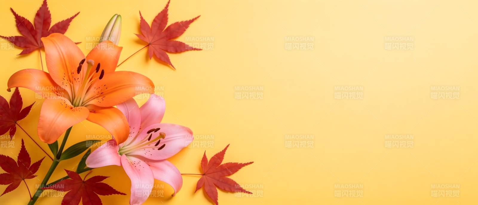 秋百合与红枫共舞图片