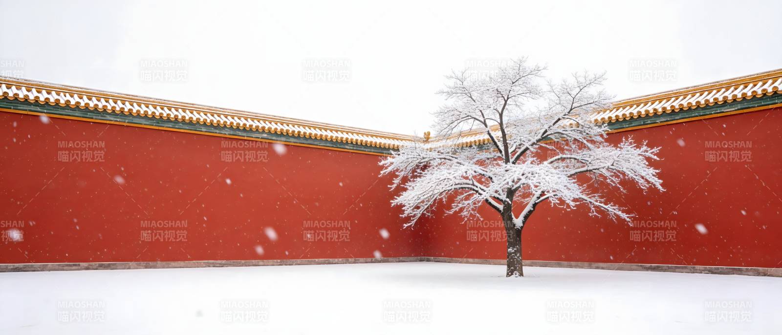 雪覆红墙 孤树静立图片