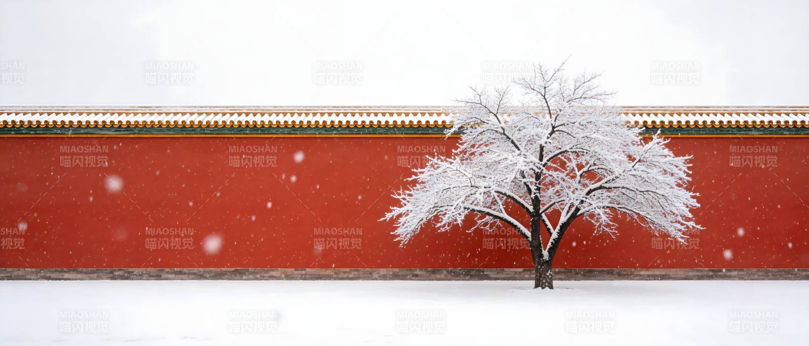 雪覆红墙 孤树傲立图片