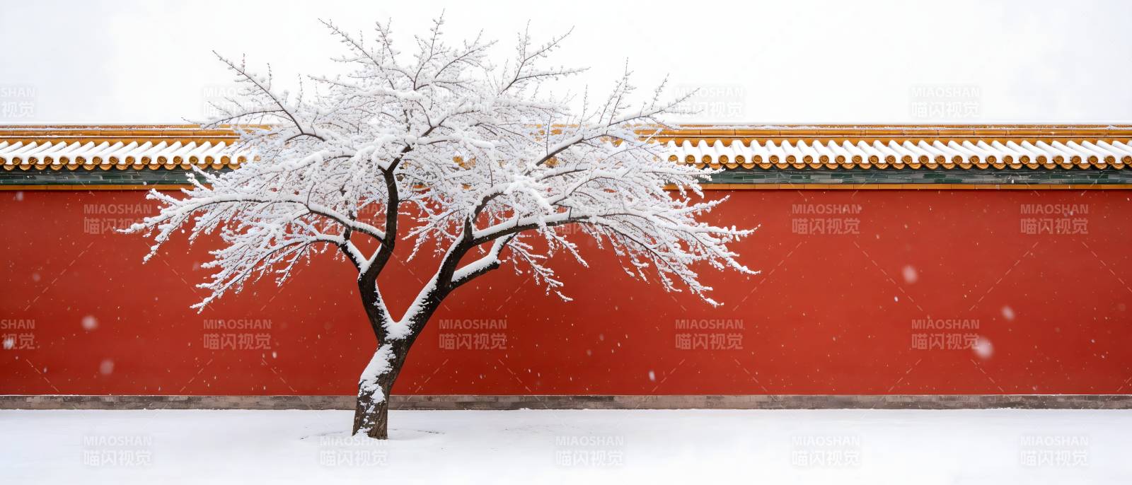 雪覆红墙 孤树傲立图片