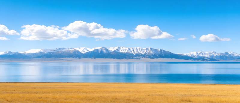 雪山映湖 金草连天图片