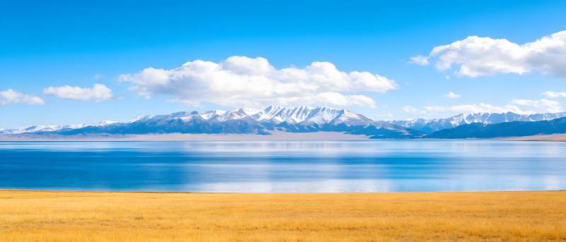 雪山映湖 金草连天图片