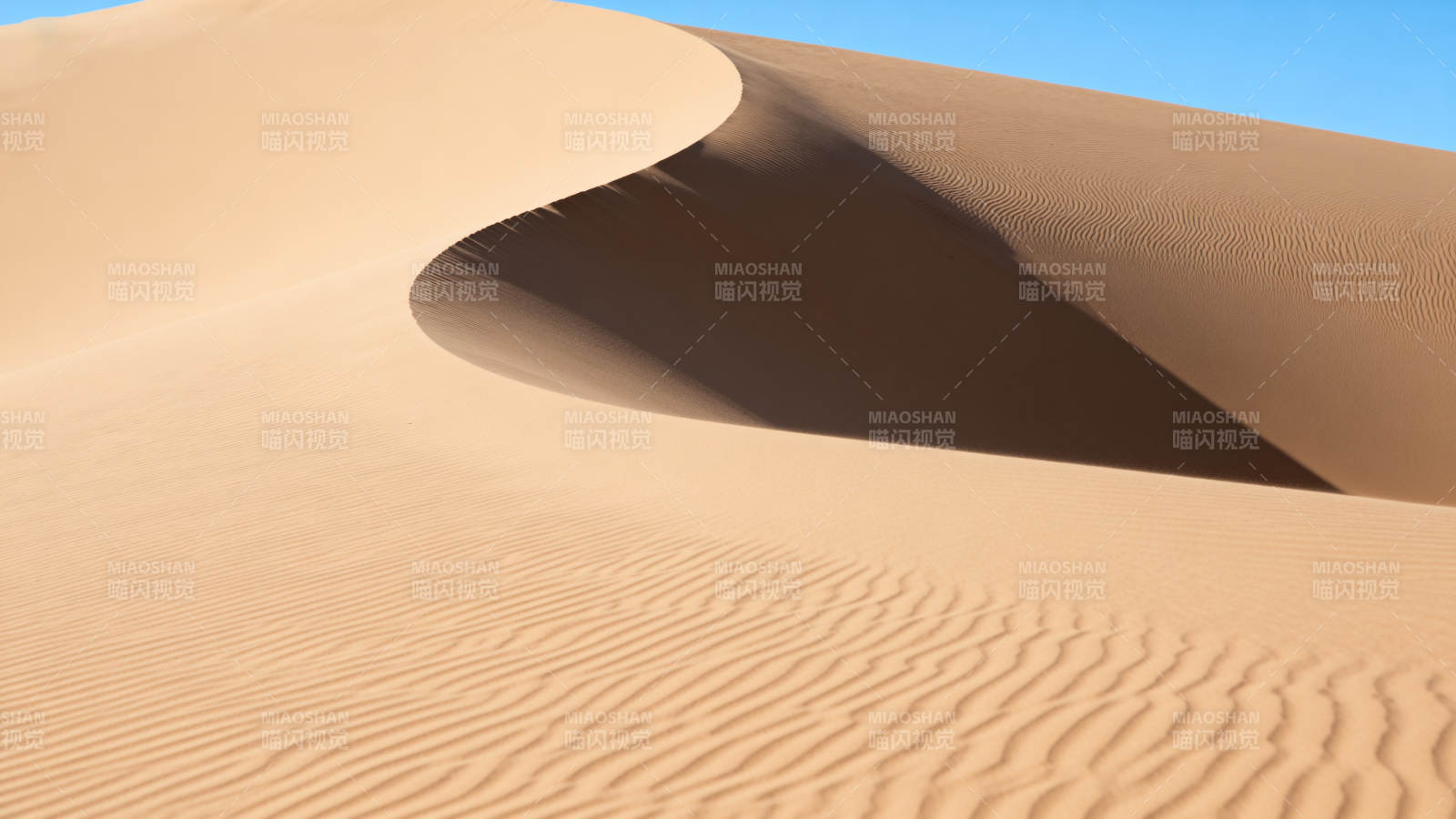 沙漠曲线 光影如画图片