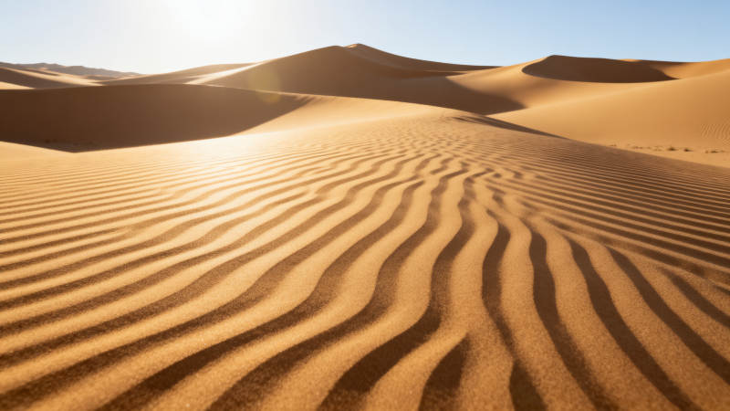 沙漠波纹 阳光洒金丘图片