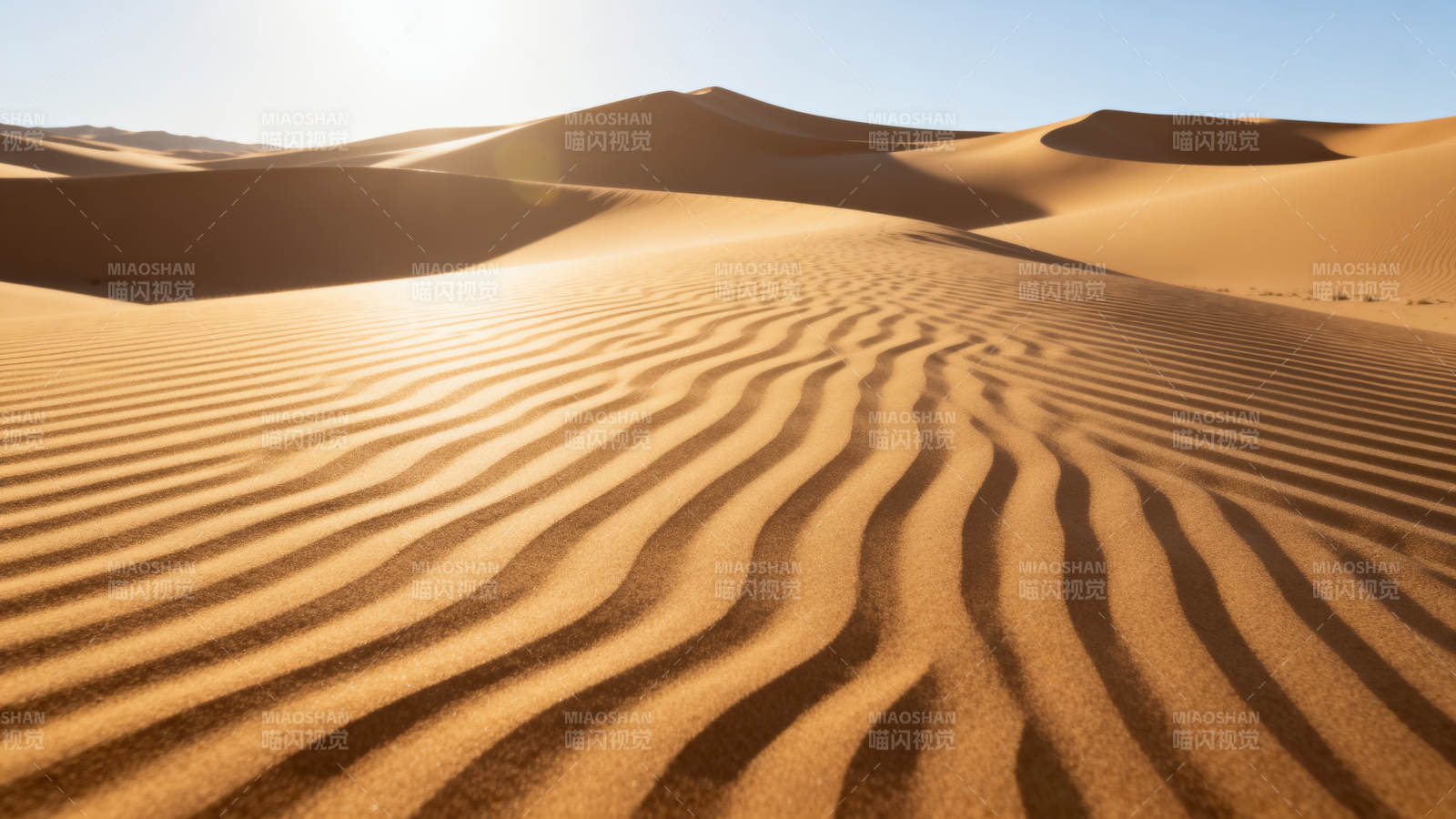沙漠波纹 阳光洒金丘图片