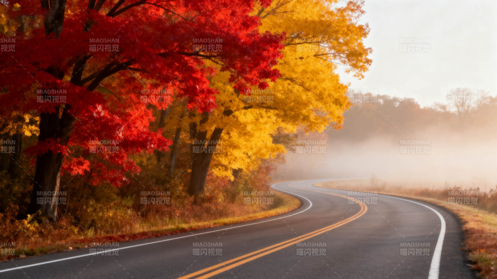 秋雾绕林 彩叶伴路弯图片