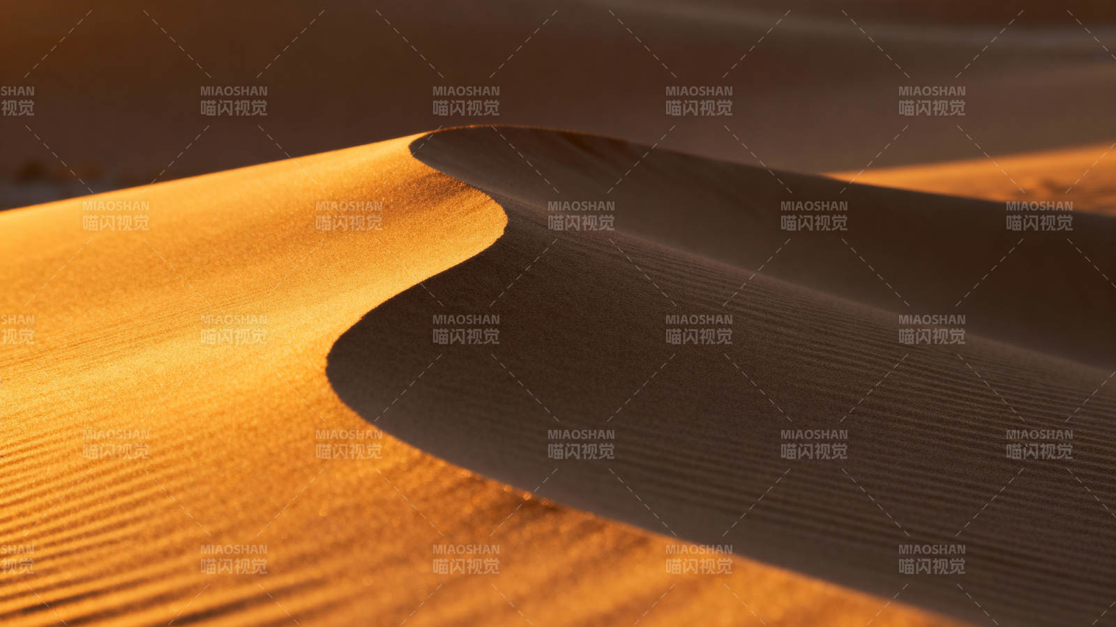 沙漠光影 沙丘曲线之美图片