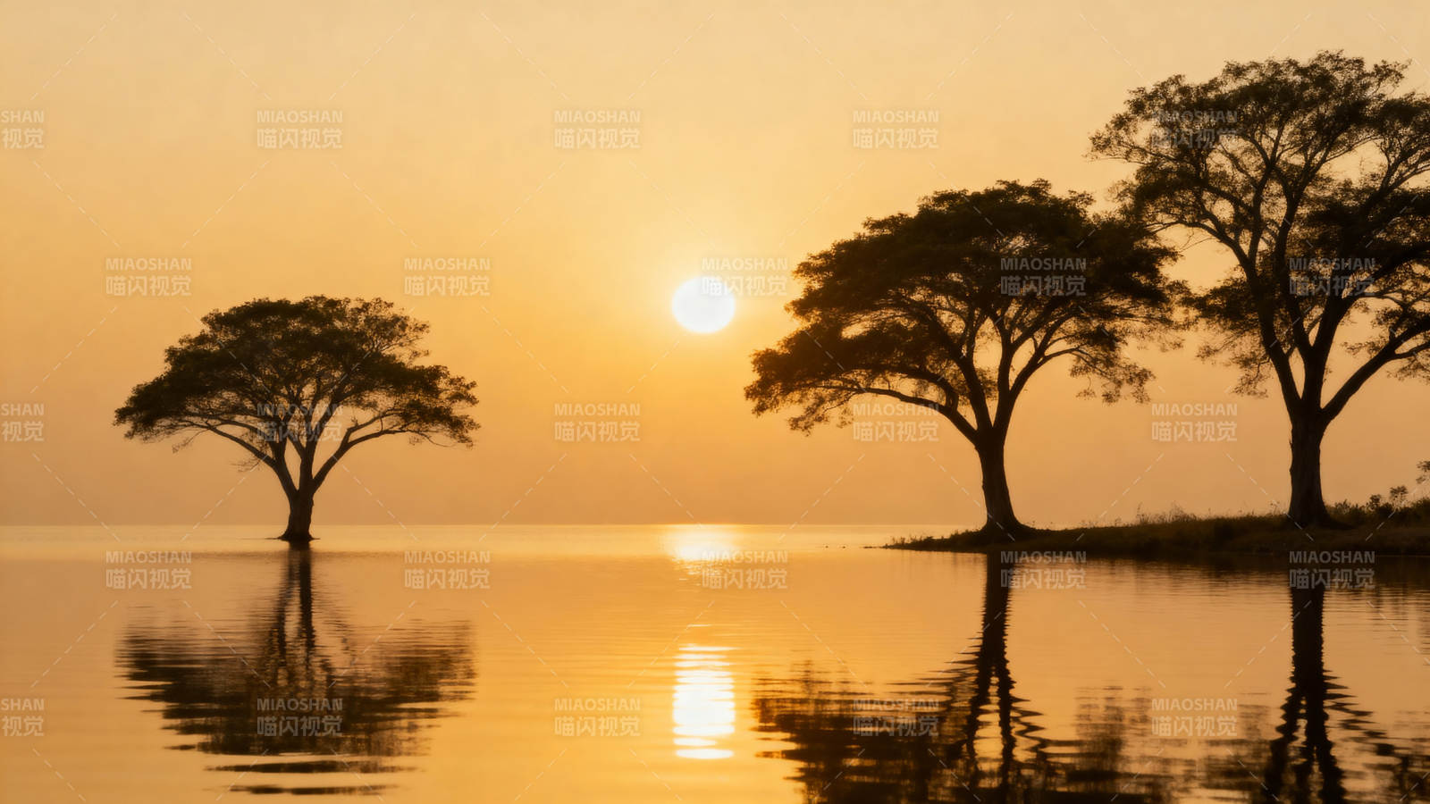 夕阳树影映湖心图片