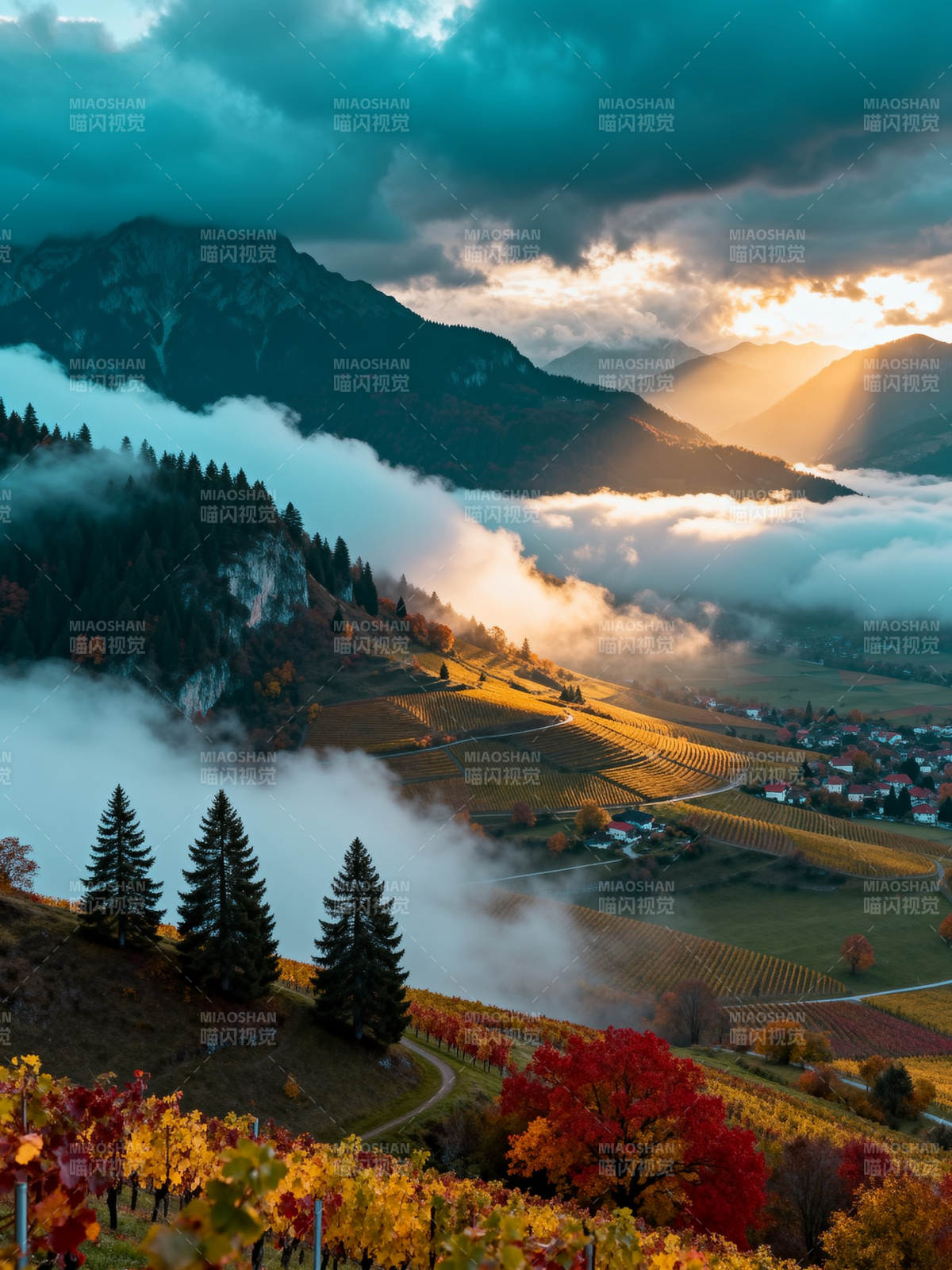 云海秋山 霞光染谷图片