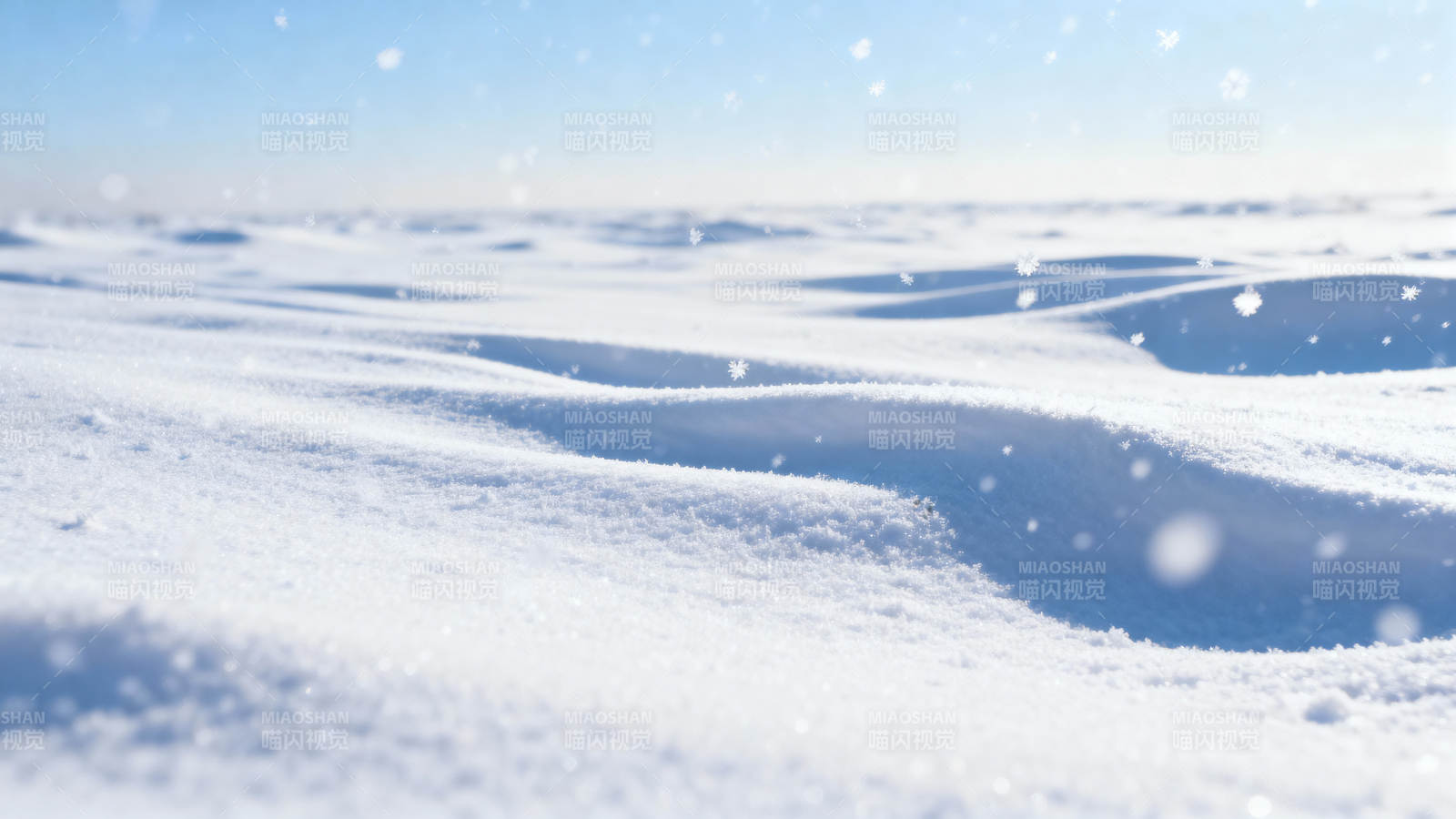 雪原无垠 风舞轻扬图片