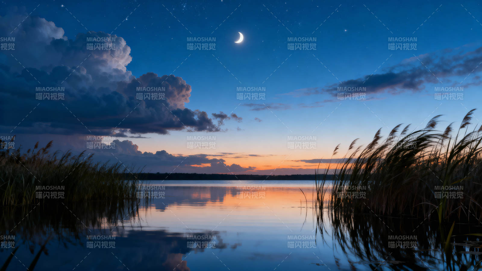 月夜湖光 芦苇静默如诗图片