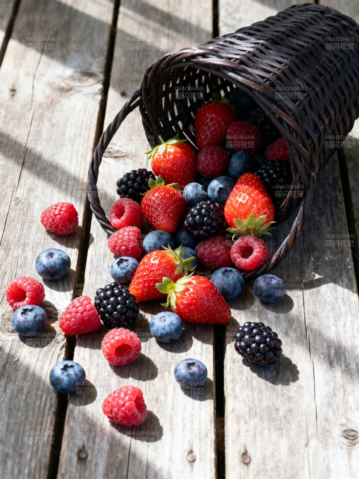 篮倾果落 鲜莓满木台图片