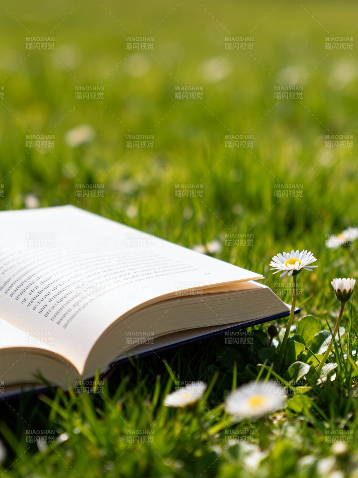 草地上的书与雏菊图片