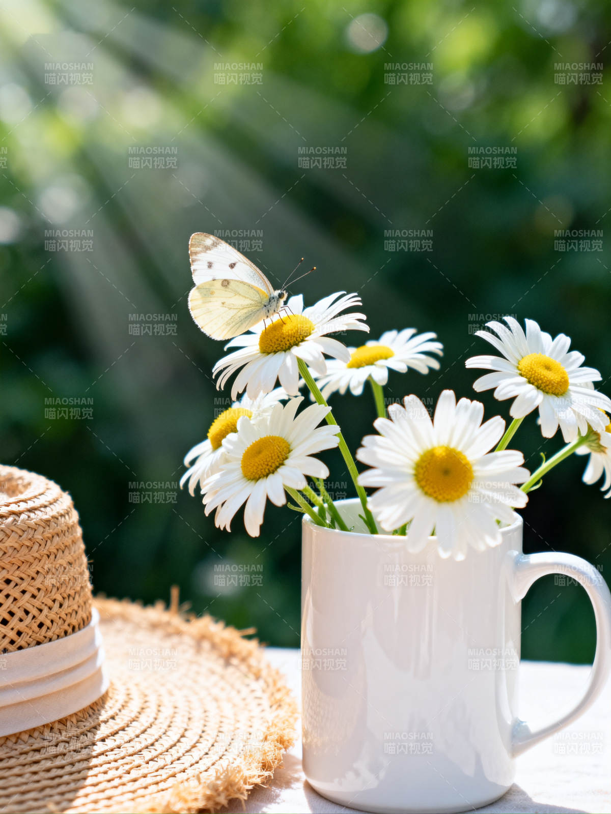阳光雏菊蝶舞静好图片