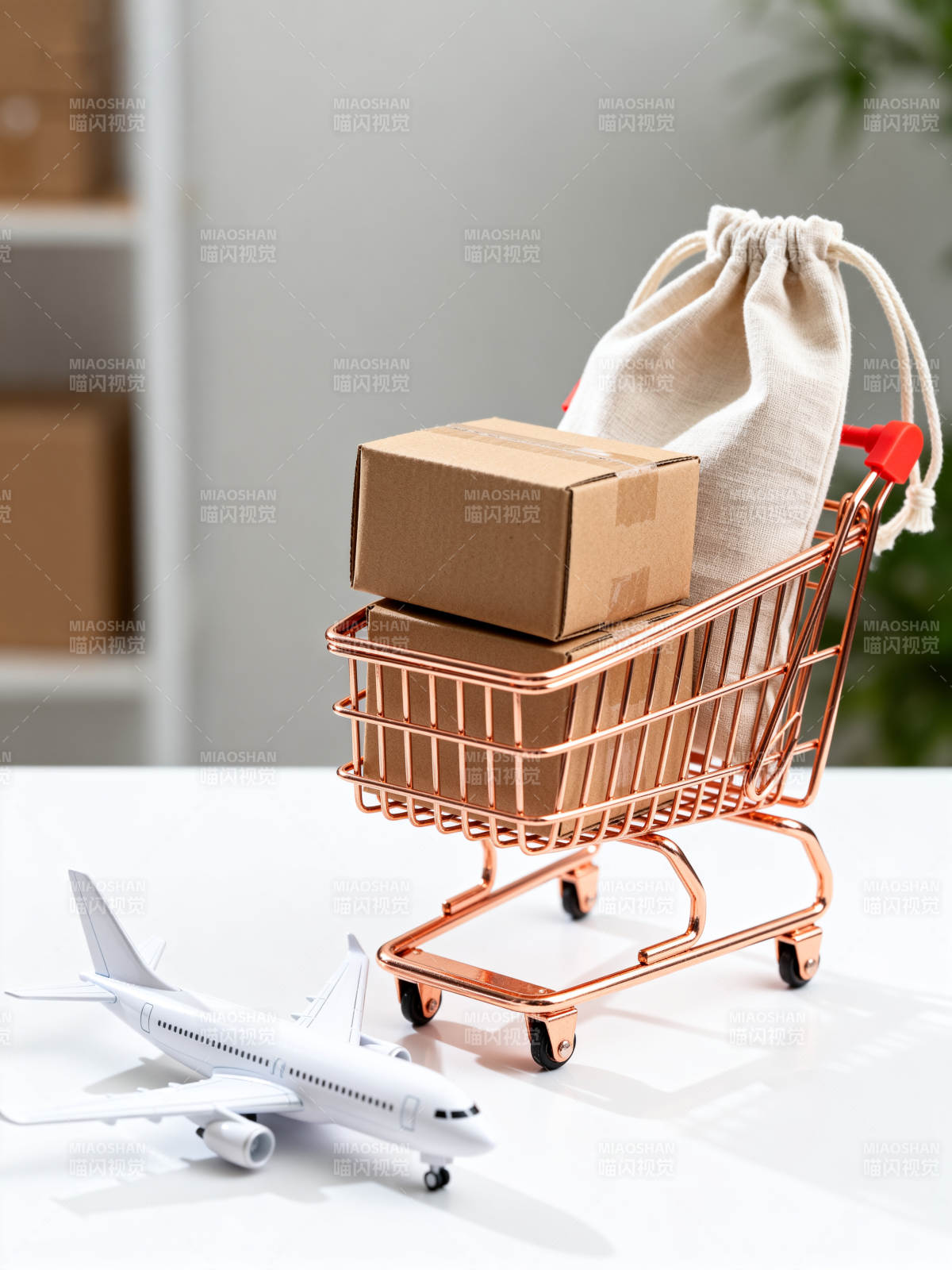 购物车 飞机 全球购体验图片