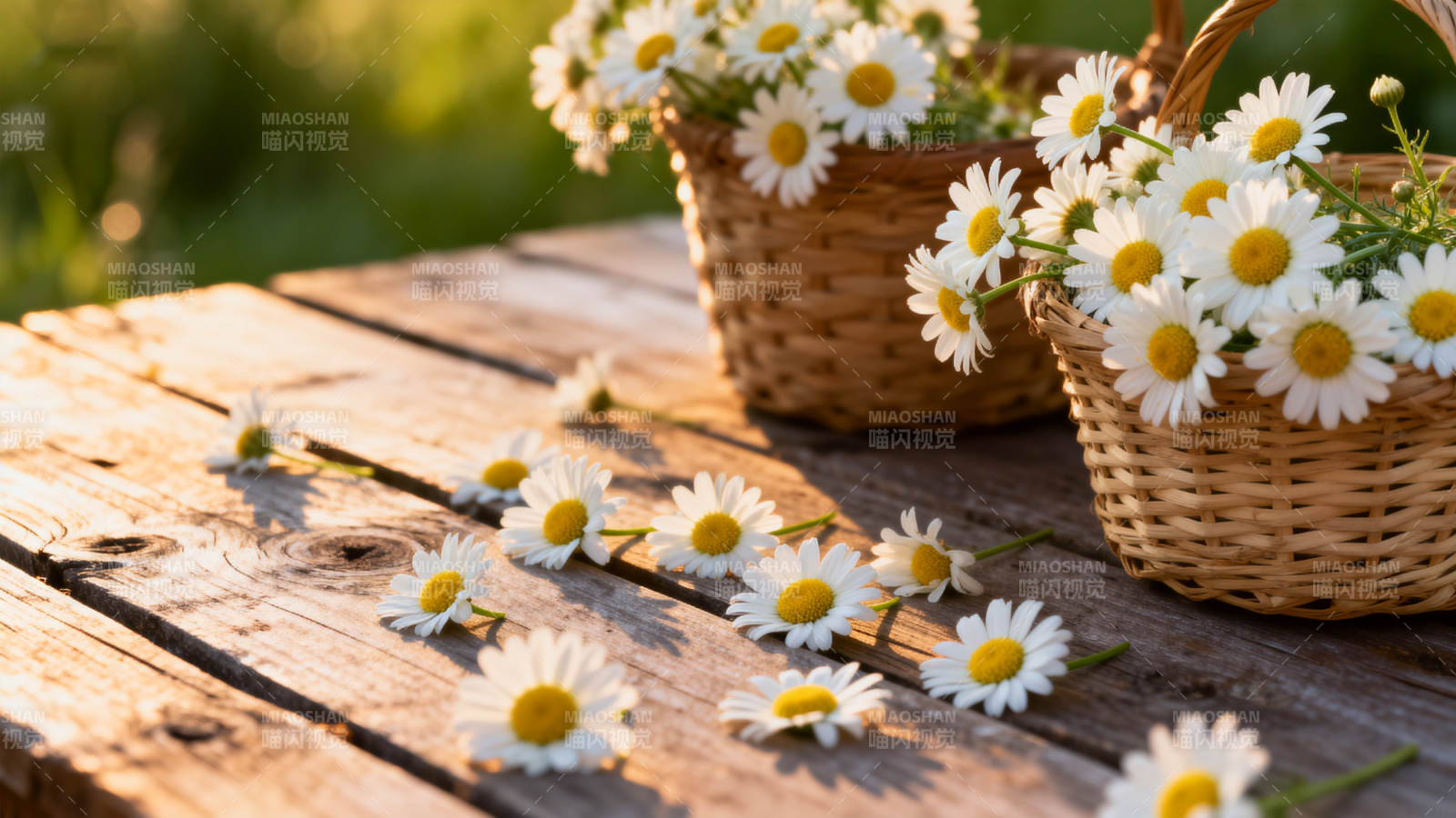 雏菊篮映木桌 暖阳温柔图片