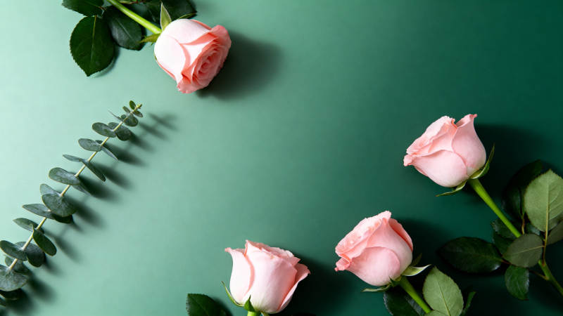 粉玫瑰绿底 清新雅致图片