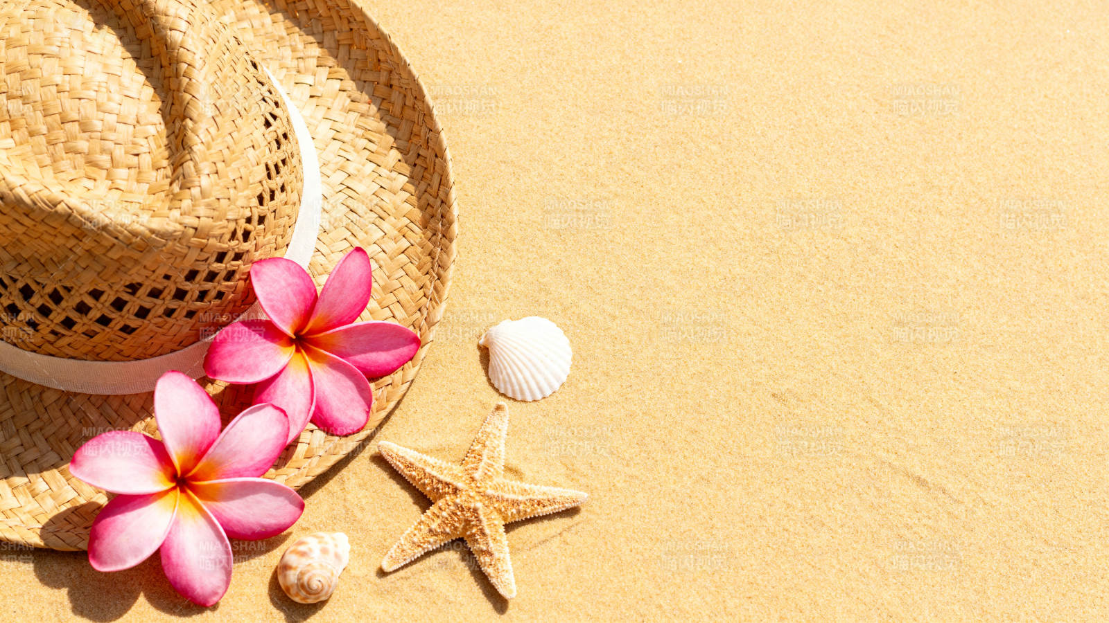 沙滩草帽花星贝 夏日风情图片