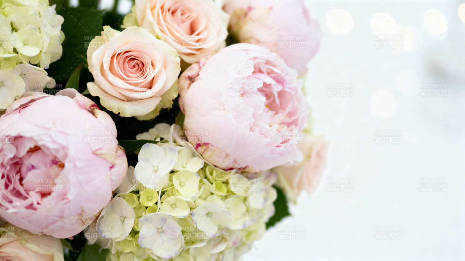 粉白花束 温柔浪漫图片