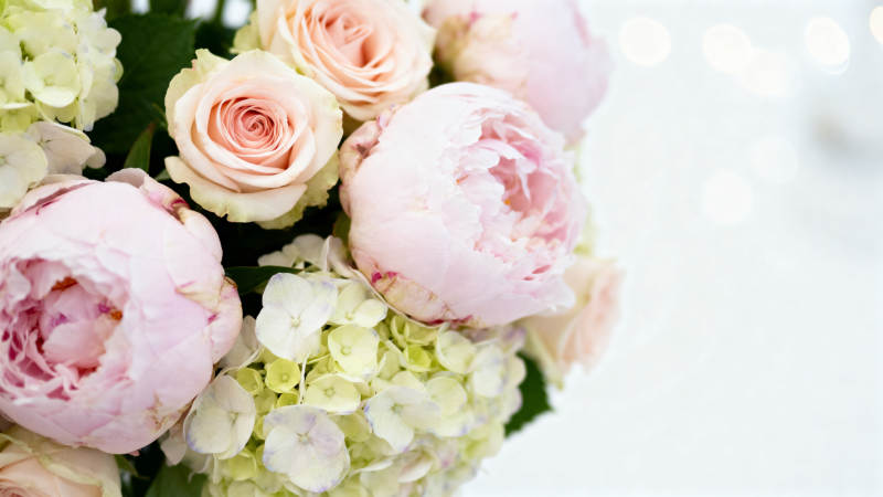 粉白花束 温柔浪漫图片