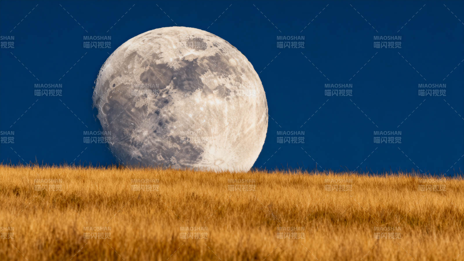 月落金野 静美如诗图片