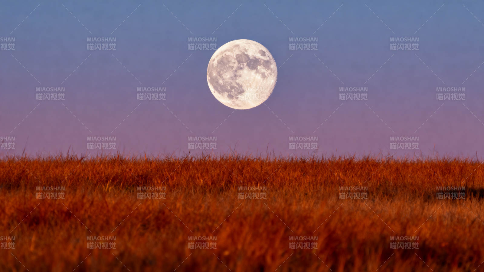 月照金野 暮色温柔图片