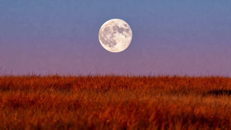 月照金野 暮色温柔图片