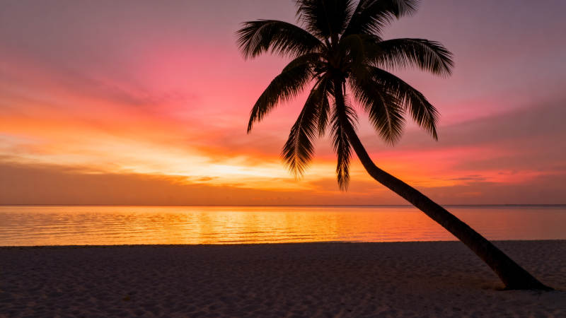 椰影夕阳 海天一色美如画图片