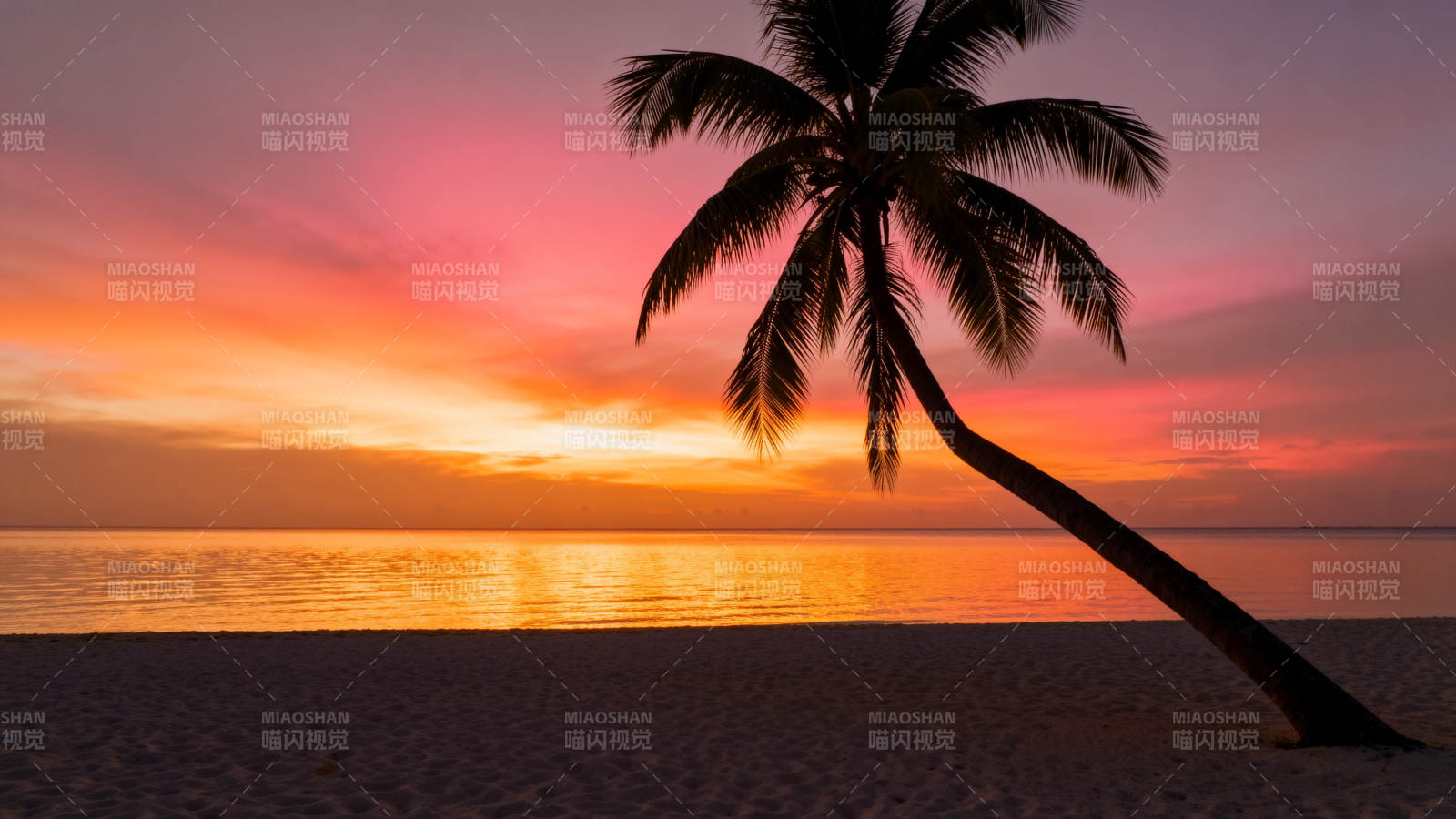 椰影夕阳 海天一色美如画图片