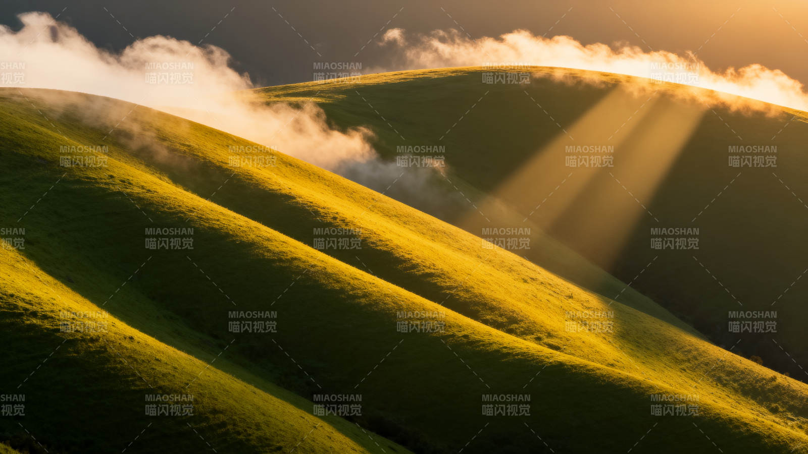 晨光穿云 绿野如金浪图片